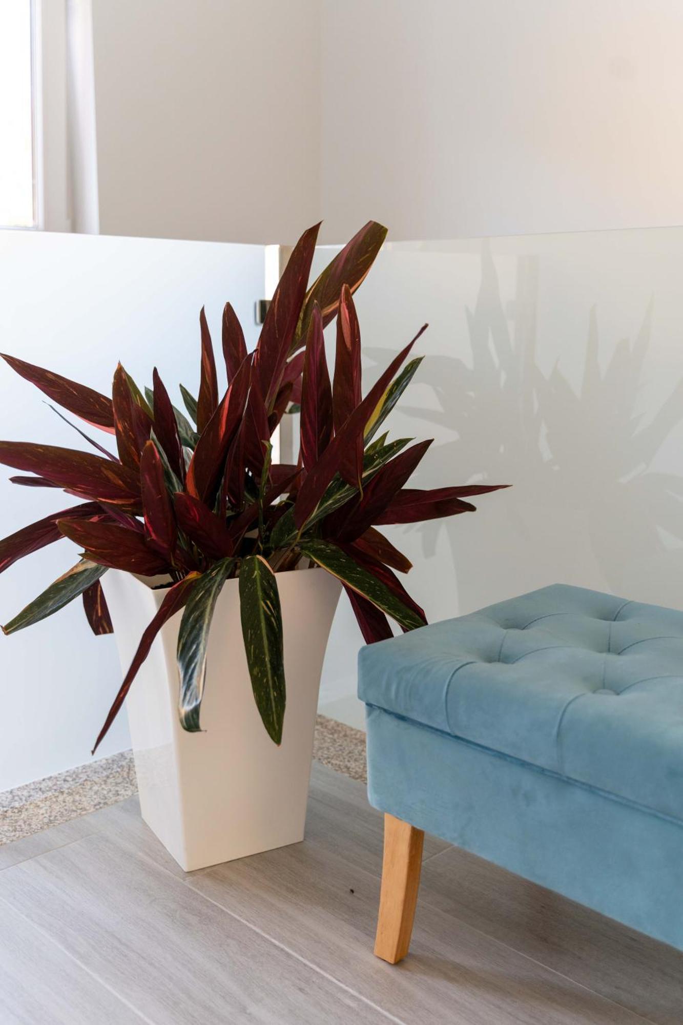 Guest House Taiao Valenca Ngoại thất bức ảnh